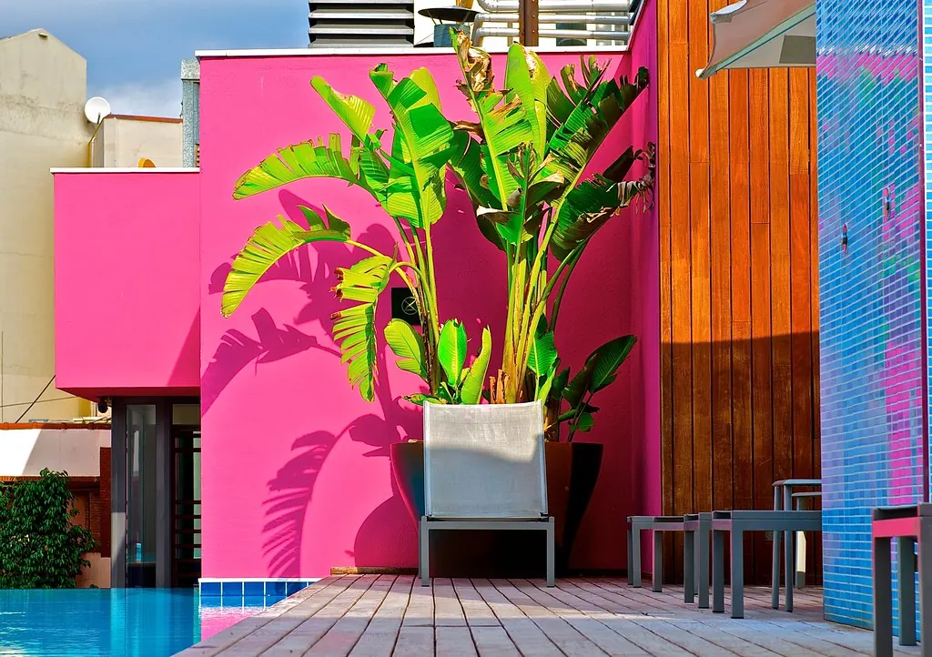 Terraza con piscina, paredes fucsia y plantas tropicales